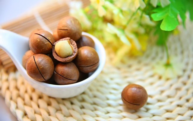 macadamia-nuts-nut-protein