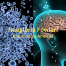 Naegleria Fowleri Brain-eating amoeba