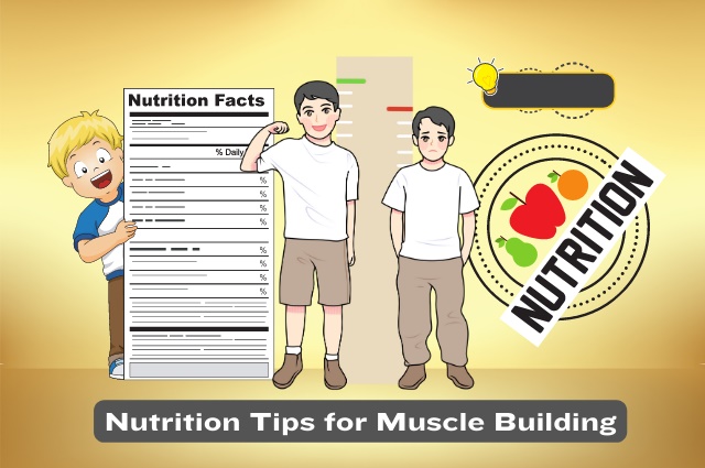 Nutrition Tips for Muscle Building
